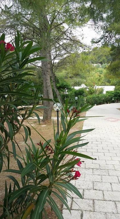 ויאסטה Villaggio Sabbiadoro מראה חיצוני תמונה